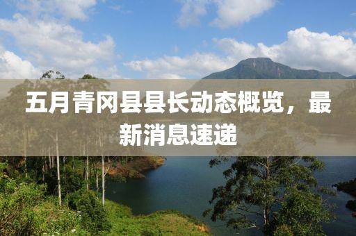 五月青冈县县长动态概览，最新消息速递