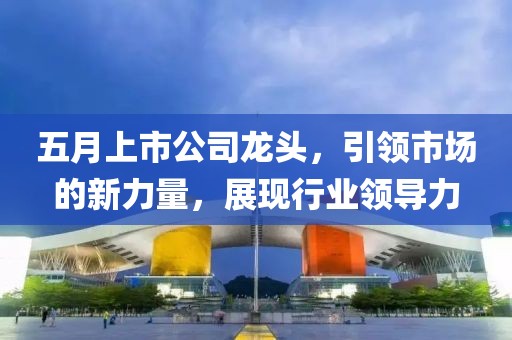 五月上市公司龙头，引领市场的新力量，展现行业领导力