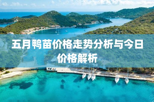 五月鸭苗价格走势分析与今日价格解析