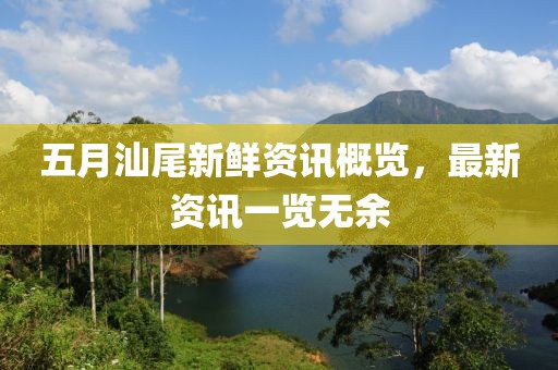 五月汕尾新鲜资讯概览，最新资讯一览无余
