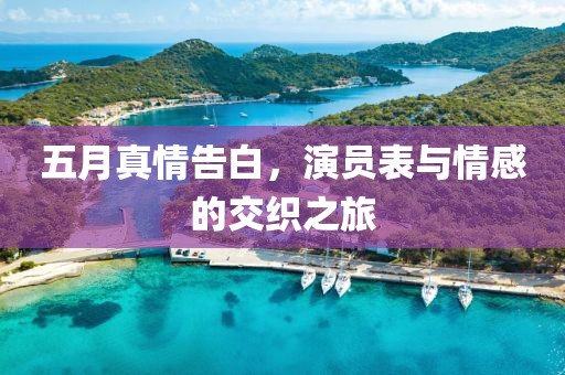 五月真情告白，演员表与情感的交织之旅