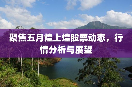 聚焦五月煌上煌股票动态，行情分析与展望