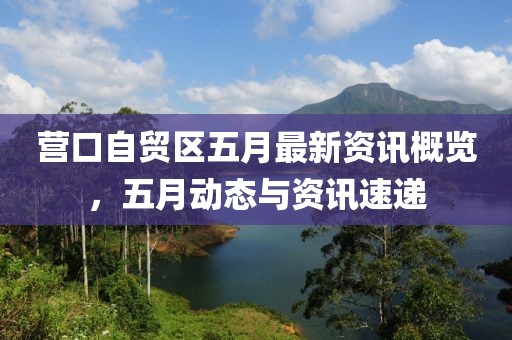 营口自贸区五月最新资讯概览，五月动态与资讯速递