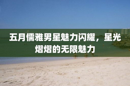 五月儒雅男星魅力闪耀，星光熠熠的无限魅力