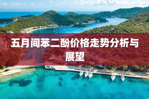 五月间苯二酚价格走势分析与展望