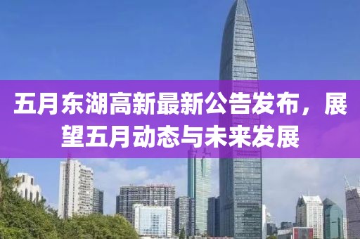 五月东湖高新最新公告发布，展望五月动态与未来发展