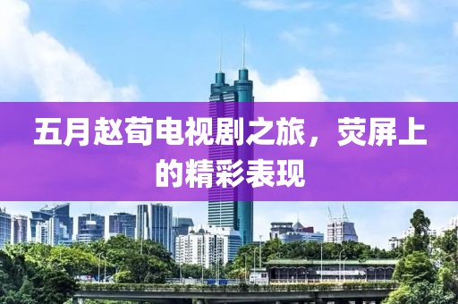五月赵荀电视剧之旅，荧屏上的精彩表现