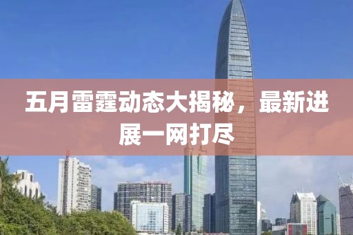 五月雷霆动态大揭秘，最新进展一网打尽
