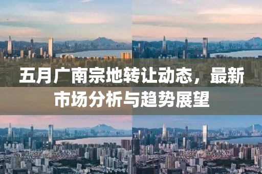 五月广南宗地转让动态，最新市场分析与趋势展望