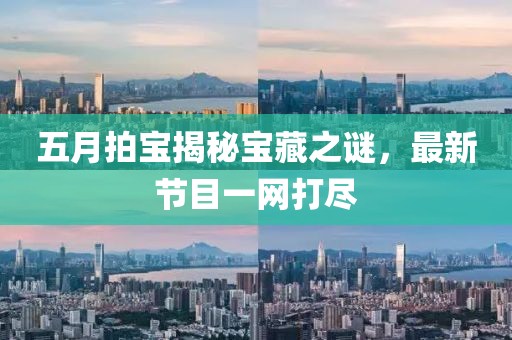 五月拍宝揭秘宝藏之谜，最新节目一网打尽