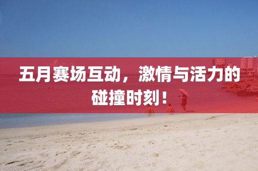 五月赛场互动，激情与活力的碰撞时刻！