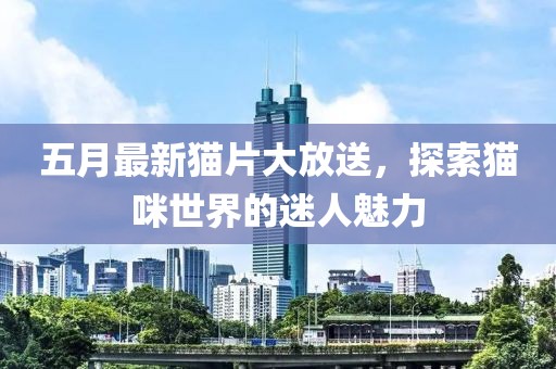 2025年5月19日