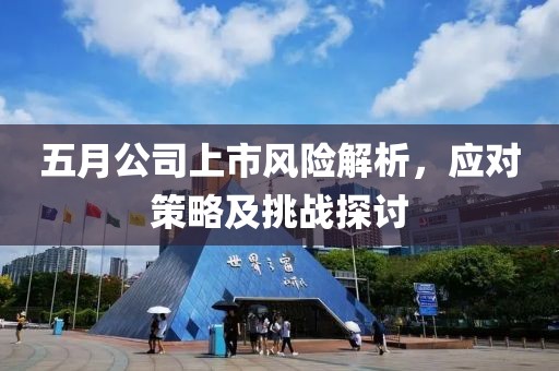 五月公司上市风险解析，应对策略及挑战探讨