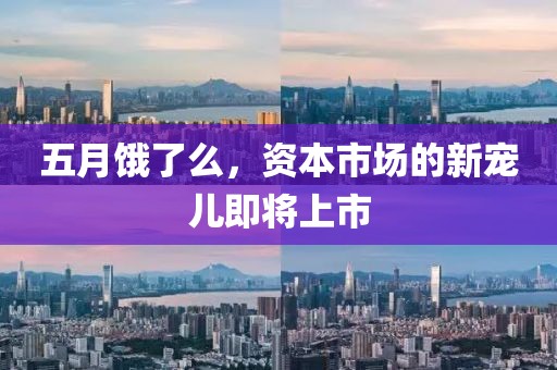 五月饿了么，资本市场的新宠儿即将上市