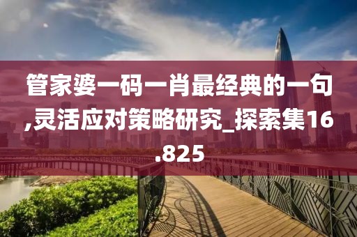 管家婆一码一肖最经典的一句,灵活应对策略研究_探索集16.825