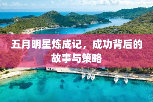 五月明星炼成记，成功背后的故事与策略