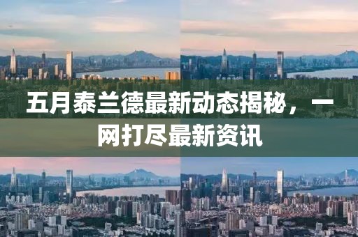 五月泰兰德最新动态揭秘，一网打尽最新资讯