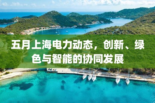 五月上海电力动态，创新、绿色与智能的协同发展