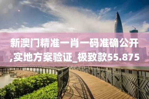 新澳门精准一肖一码准确公开,实地方案验证_极致款55.875