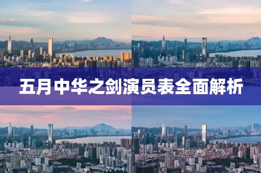 五月中华之剑演员表全面解析