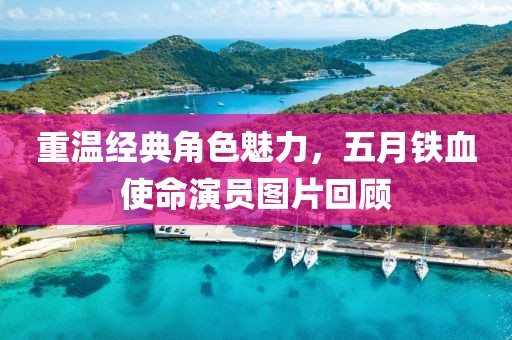 重温经典角色魅力，五月铁血使命演员图片回顾