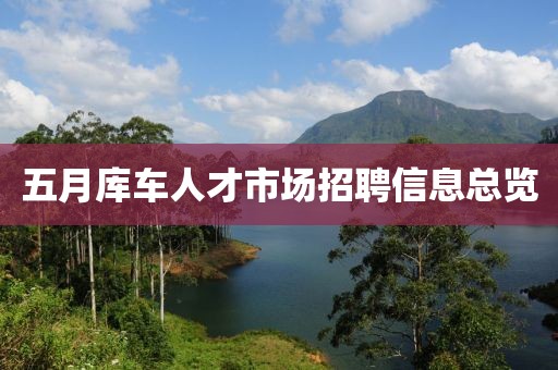 五月库车人才市场招聘信息总览