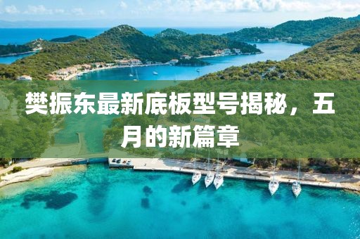 樊振东最新底板型号揭秘，五月的新篇章