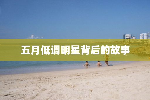 五月低调明星背后的故事