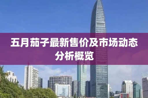 五月茄子最新售价及市场动态分析概览
