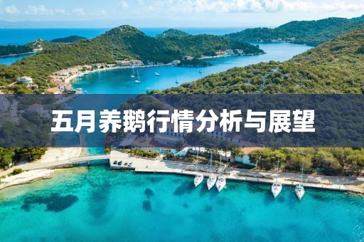 五月养鹅行情分析与展望