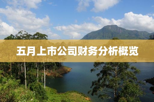五月上市公司财务分析概览