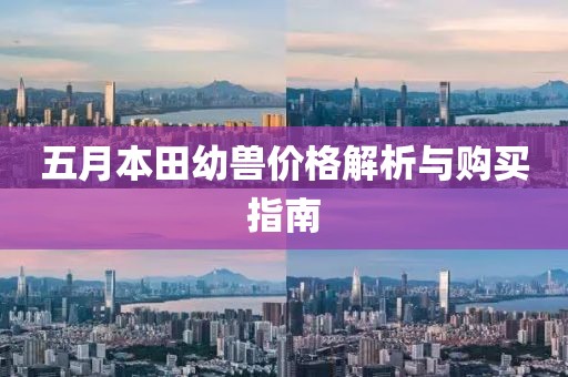 五月本田幼兽价格解析与购买指南