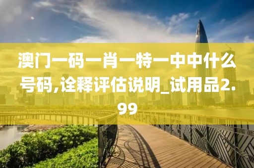 澳门一码一肖一特一中中什么号码,诠释评估说明_试用品2.99