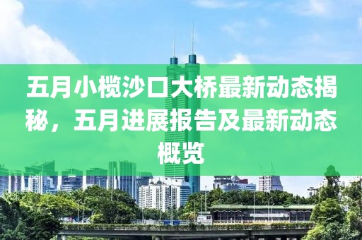 五月小榄沙口大桥最新动态揭秘，五月进展报告及最新动态概览