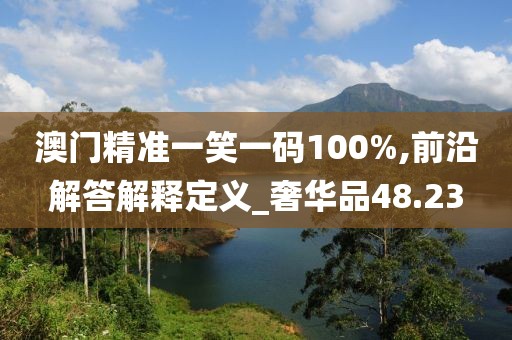 澳门精准一笑一码100%,前沿解答解释定义_奢华品48.23