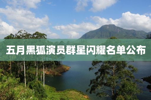五月黑狐演员群星闪耀名单公布