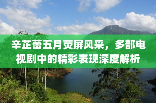 辛芷蕾五月荧屏风采，多部电视剧中的精彩表现深度解析