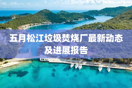 五月松江垃圾焚烧厂最新动态及进展报告