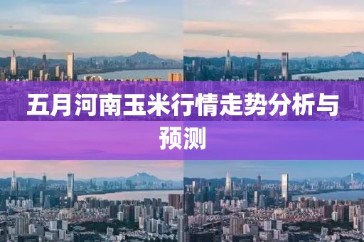 五月河南玉米行情走势分析与预测