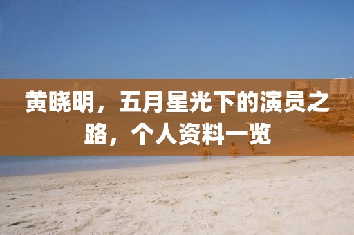 黄晓明，五月星光下的演员之路，个人资料一览