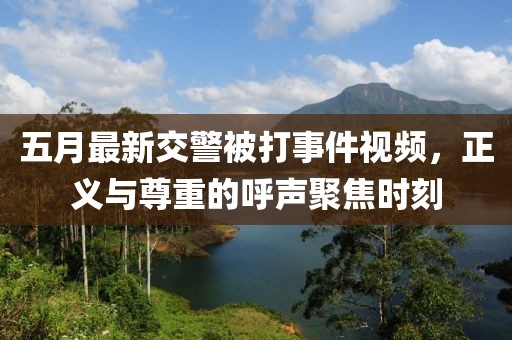 五月最新交警被打事件视频，正义与尊重的呼声聚焦时刻