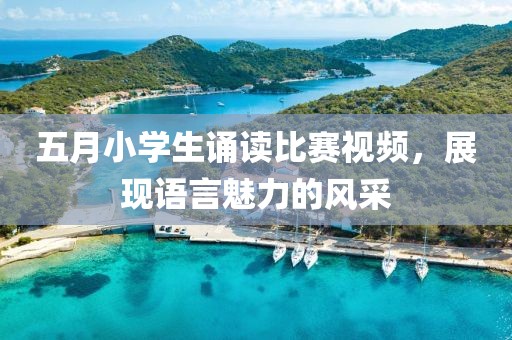 五月小学生诵读比赛视频，展现语言魅力的风采
