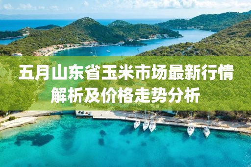 五月山东省玉米市场最新行情解析及价格走势分析