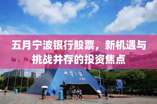 五月宁波银行股票，新机遇与挑战并存的投资焦点