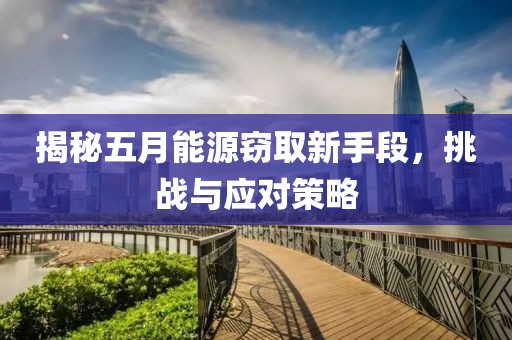 揭秘五月能源窃取新手段，挑战与应对策略