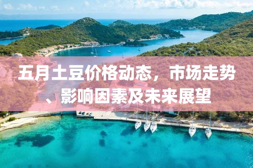 五月土豆价格动态，市场走势、影响因素及未来展望