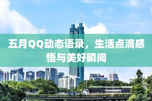 五月QQ动态语录，生活点滴感悟与美好瞬间