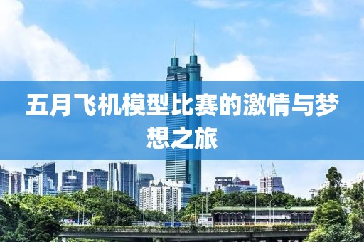 五月飞机模型比赛的激情与梦想之旅