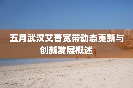 五月武汉艾普宽带动态更新与创新发展概述