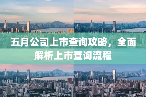 五月公司上市查询攻略，全面解析上市查询流程